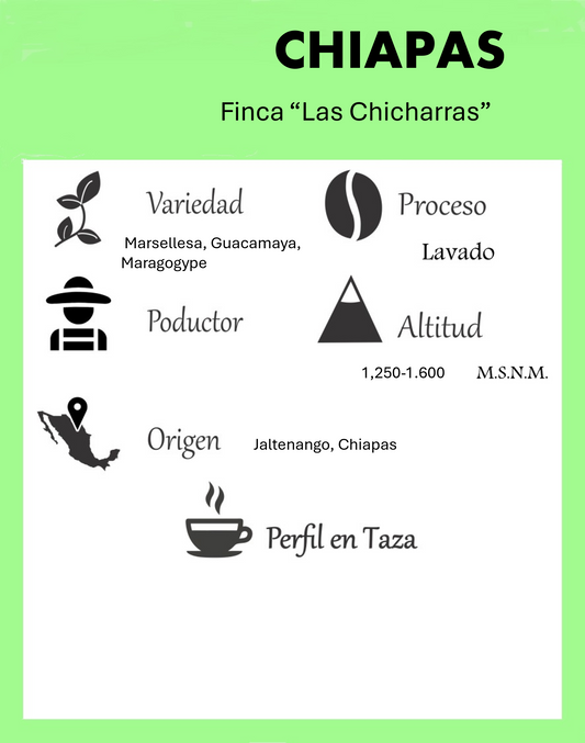 Café de Chiapas, proceso Lavado. - Mi tienda