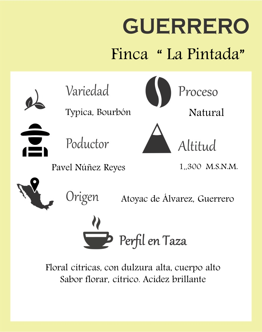 Café de Guerrero Especialidad Proceso Natural - Mi tienda