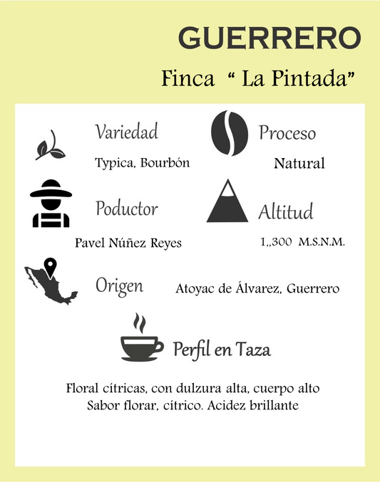 Café de Guerrero Especialidad Proceso Natural - Mi tienda
